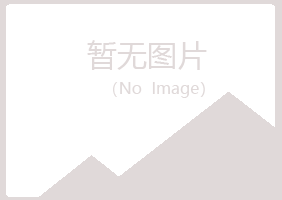 北海海城女孩司机有限公司